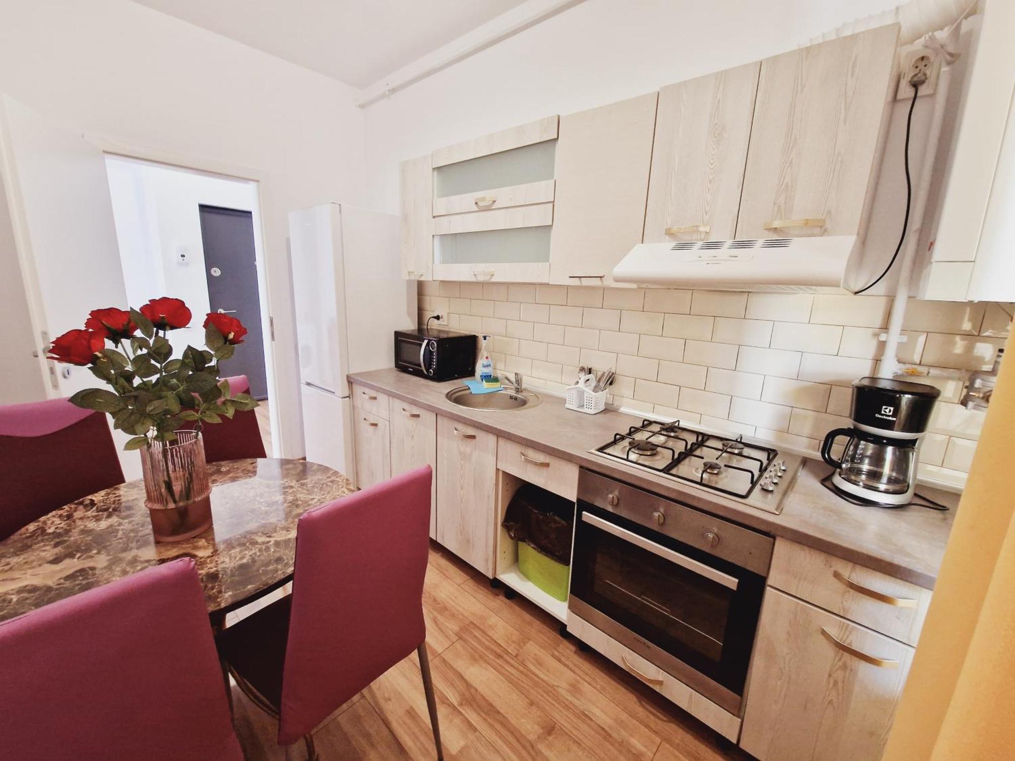 Ultracentral 5* Boutique Hotel Style Apartment. Brand New. 2 Rooms. Spacious. Free Parking Клуж-Напока Экстерьер фото